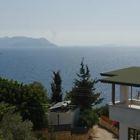 Kaktus Κας