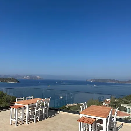 Kaktus Κας